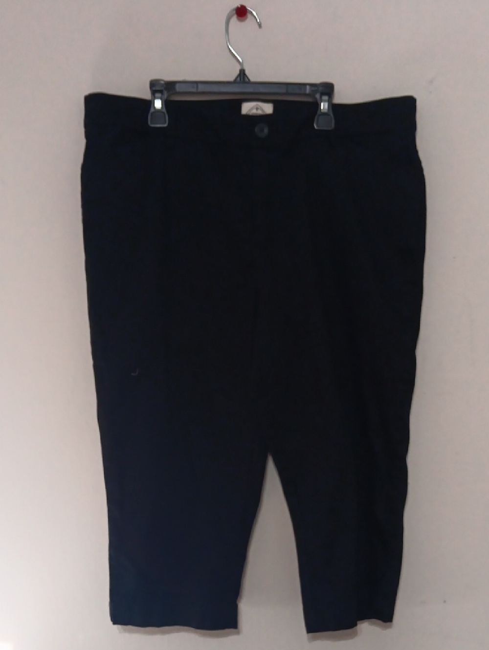Women's Capri Black Casual Pants